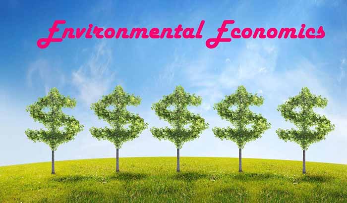 read-about-the-factors-of-environmental-economics